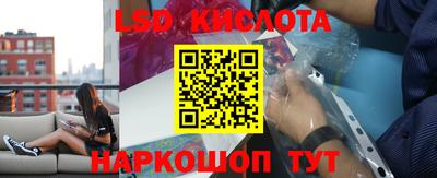мяу мяу мука Кингисепп