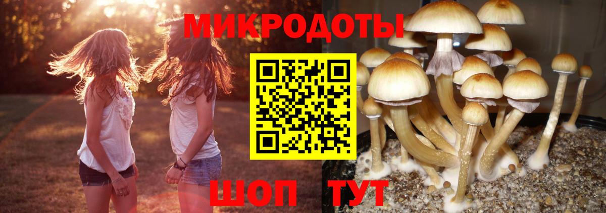 Псилоцибиновые грибы прущие грибы Королёв